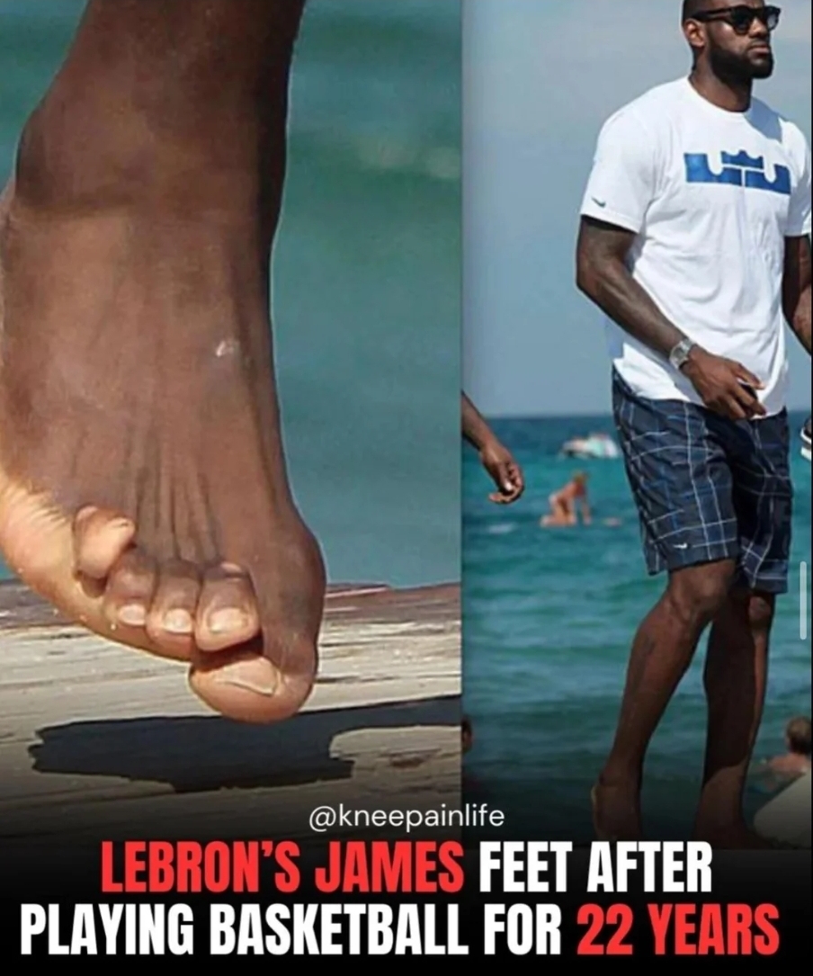 LeBron signature shoe